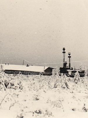 Anfänge Großer Kornberg