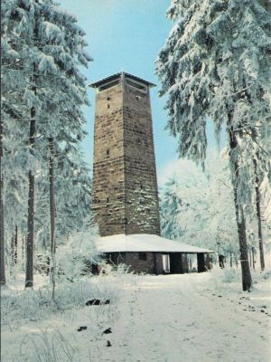 Ansichtskarte Schönburgwarte im Winter