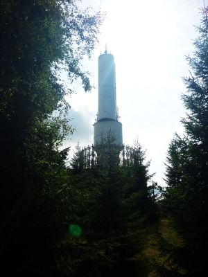 Großer Kornberg | August 2019